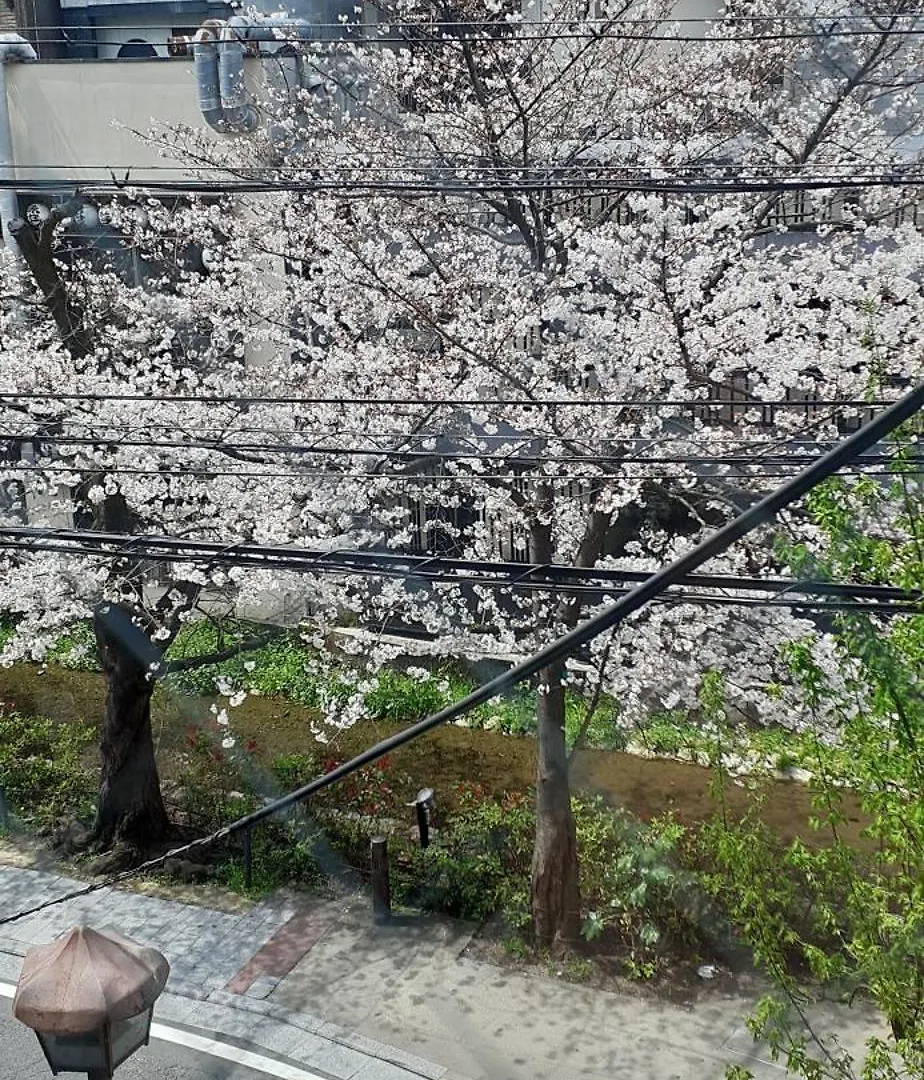 井筒ホテル 高瀬川別邸 京都市 ホテル