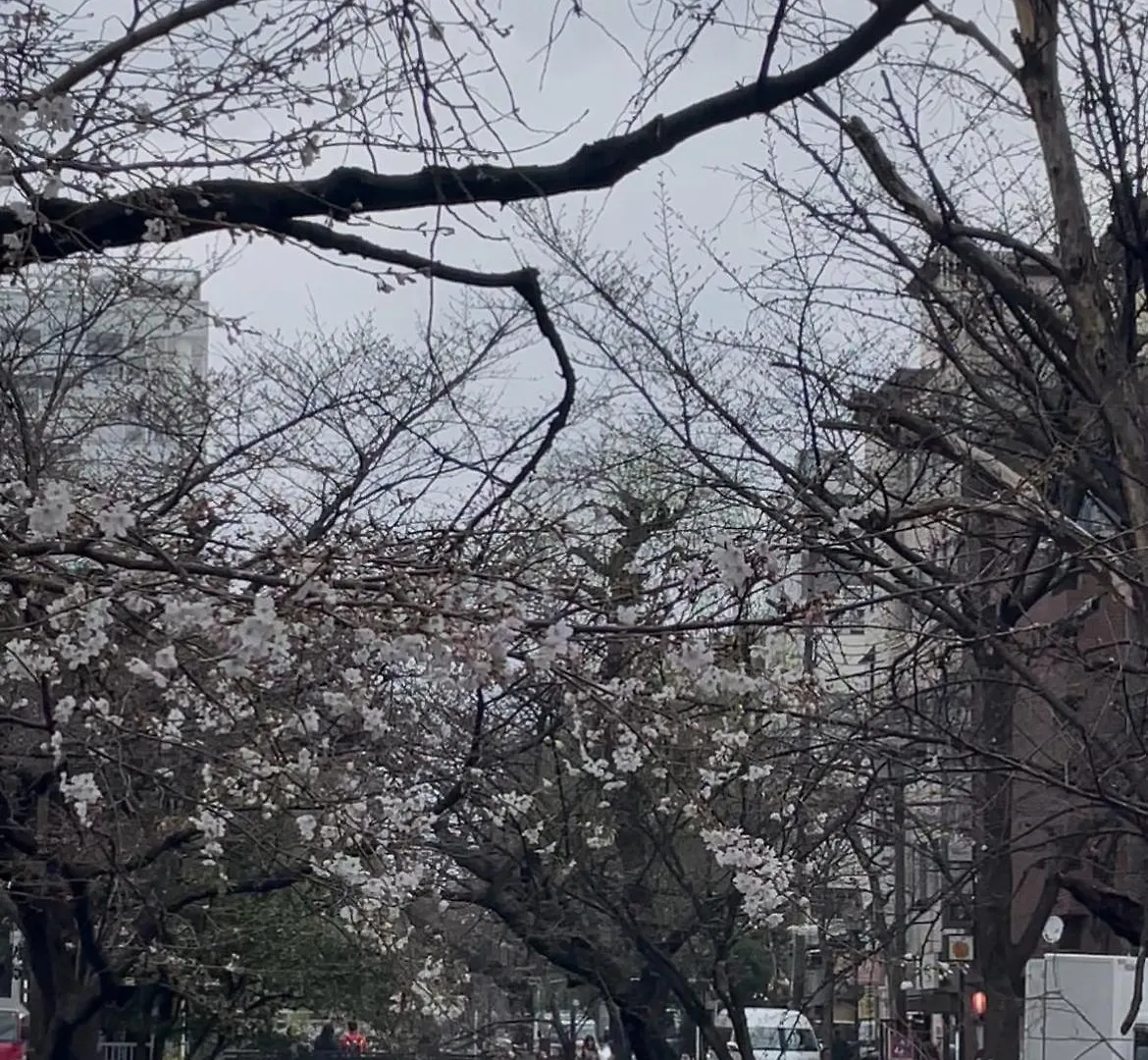 *** ホテル 井筒ホテル 高瀬川別邸 京都市 日本
