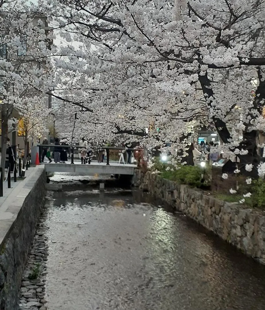 Izutsu Hotel Takasegawa 교토 3*,  일본